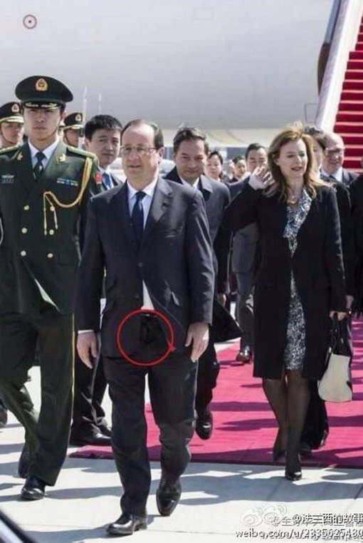 hollande braquette