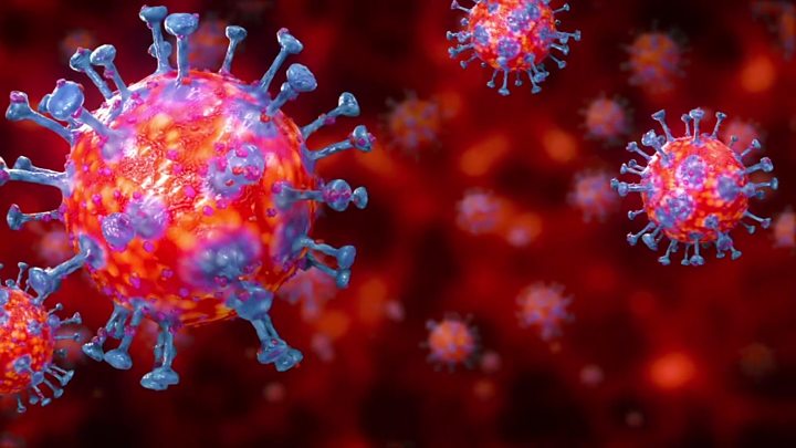 http://xalimasn.com/wp-content/uploads/2020/05/coronavirus-le-virus-1.jpg